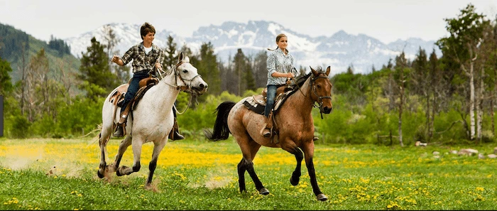 Confident plus-size woman riding Newcastle under Lyme a horse through a field with a smile on her face.